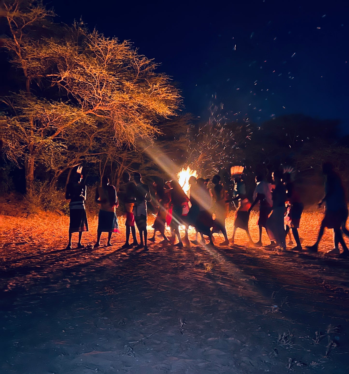 Maasai Rosewood Elephant Tea Light Holder