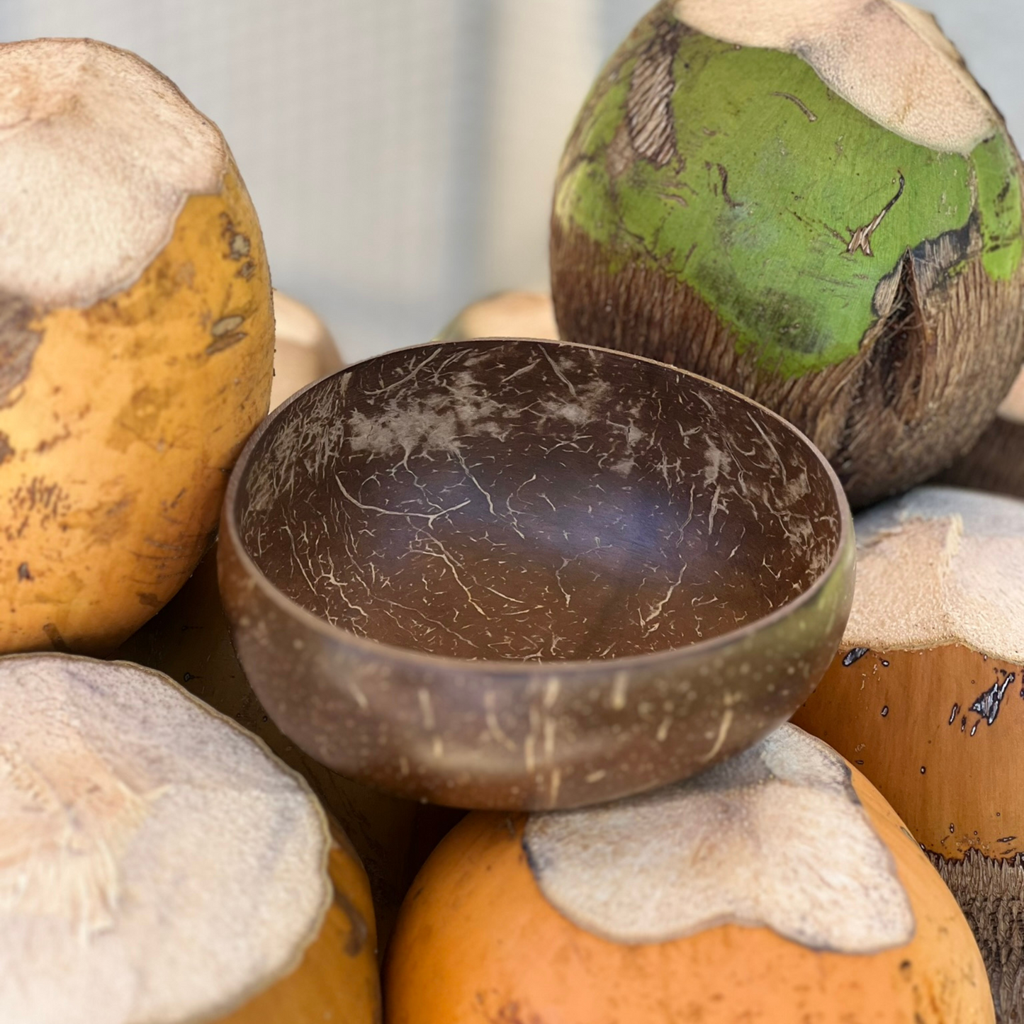 Handcrafted Coconut Bowl